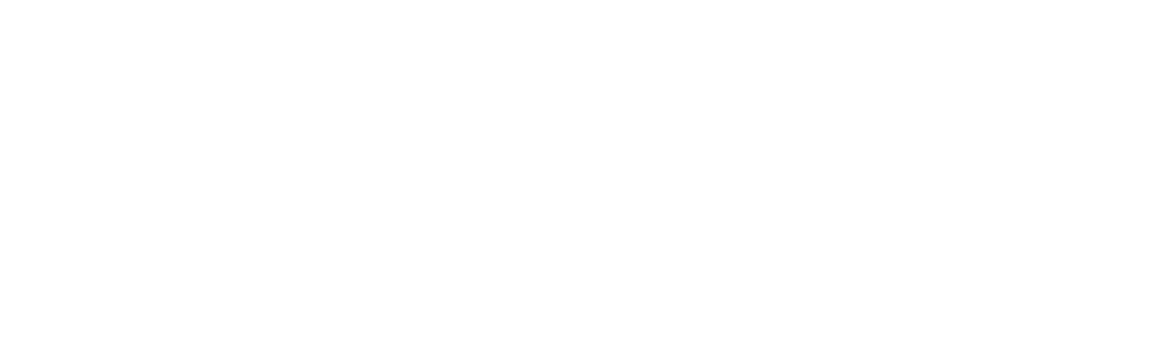 logos/logo-long-white